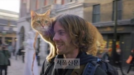  ‘내 어깨 위 고양이, 밥’ 메인 예고편