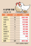 산란계 농장 덮친 AI… ‘달걀 대란’ 초비상