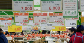 무거운 마음, 가벼운 장바구니