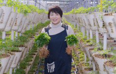 [新전원일기] 3억 캐는 스마트팜 심마니