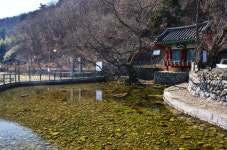 [손원천 전문기자의 호모나들이쿠스] 그 빛, 숨어 있어도 숨길 수 없네