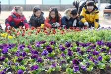 [서울포토] 고사리손으로 꽃 심기