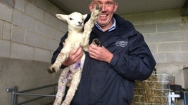 ‘내 이름은 포레스트 검프’ 다리 5개 가진 양 탄생