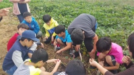 광진 어린이 현장체험 행복 예감