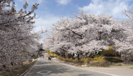 인천은 예쁘다