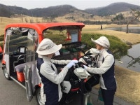 “작대기로 뭐 이런 운동 하나 했는데… 내가 캐디 됐시요”