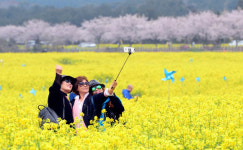 [서울포토] 봄의 한가운데 ‘이 순간을 사진으로’