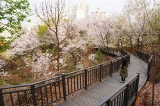 “유모차·휠체어도 산책 OK” 구로 능골산 자락길 공사 완료