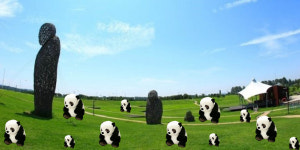 파주 임진각에 판다 800마리 등장