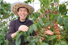 [新전원일기] 바리스타 농부, 사람 향기 좇는 커피 마을의 꿈
