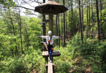 ‘숲＆쉼’ 여름의 시작 6월… 뜨거운 태양 피해 시원한 휴양림으로 떠날 시간