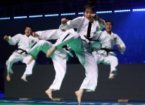 거친 품새에 환호성… 절도 있는 태권도로 하나 된 남북