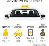 “웃돈 주면 우선 배차”…카카오택시, 유료로 달릴까