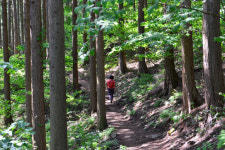 무더위 식히는 길… 열대야 피하는 길