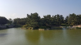 [윤기자의 콕 찍어주는 그곳] 신라의 달밤…경주 동궁, 월지