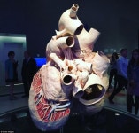 세계 최대 고래 심장 표본 처리 성공…200㎏ 무게