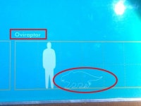 박물관이 잘못쓴 공룡 이름, 장애 10살 소년 바로잡아