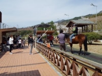 [윤기자의 콕 찍어주는 그곳] 저 푸른 초원 위에 그림같은…장수목장