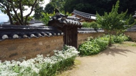 [윤기자의 콕 찍어주는 그곳] 느리게, 더욱 더 느리게…청송 송소고택