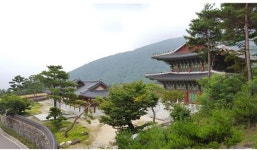 [테마별 농촌여행 7] 지리산의 정기가 가득한 한의학의 본 고장, 산청