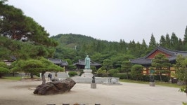 [테마별 농촌여행 7] 지리산의 정기가 가득한 한의학의 본 고장, 산청