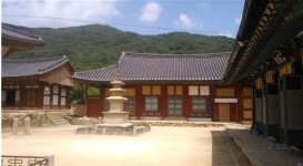 광양시농촌테마마을도선선차체험장 | [테마별 농촌여행 5] ‘찻잎의 그윽한 향기를 온몸으로 느끼는’ 순천 여행