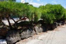 [서동철 논설위원의 스토리가 있는 문화유산기행] 말은 오고 사람은 가고… 한양과 제주 이어 주던 땅끝 마을