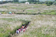 미로처럼 변한 하늘공원… 이번 주말부터 억새축제