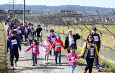 [서울포토] 민통선 철책선 따라 트래킹…2017 평화염원 통일문화축제
