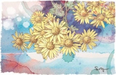 [고진하의 시골살이] 여물어 간다는 것