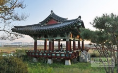 쉬어가볼까 더 늦기 전에