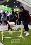 내 직업은?… 체험하고 꿈을 찾고 길을 열다
