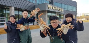 대게타운, 한옥촌… 동해 ‘평창 특수’ 잡는다