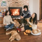 ‘효리네민박2’ 비하인드 컷 방출...이효리-이상순-윤아 ‘가족같은 분위기’