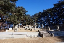 [서동철 논설위원의 스토리가 있는 문화유산기행] 전략적 요충지 강릉에서… ‘김씨 왕국’ 원대한 꿈 품었을까