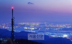 ‘花信春風’ 꽃의 화신이 불러온 봄바람 부는 울산 무룡산…보석처럼 빛나는 불야성
