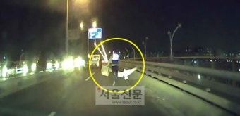 천연기념물 큰고니를 잡아라!…경찰 포획작전 진땀