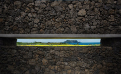 내 마음속에 저장 ‘액자가 된 봄’