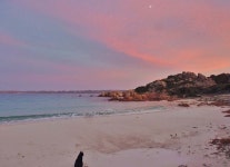 [월드피플+] 현실판 캐스트어웨이…29년 째 무인도서 홀로사는 노인