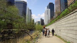 [길을 걷다] 청계천, 그 길에서 여유를 찾다