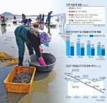 [어촌이 늙어간다] 노인만 남은 바다… 힘없는 80대 어민 조업 포기 수두룩