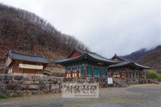 [서동철 논설위원의 스토리가 있는 문화유산기행] 선승 경헌 기리려 제자들이 세운 제월당 탑비… ‘불살생 계행’을 엿보다