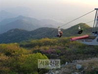 봄날 충전 끝판왕 ‘뷰벤저스’ 떴다