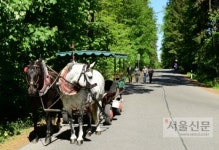 단 한번도 함락된 적 없는… 세월을 품은 요새