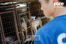 개농장에 간 리처드 용재 오닐 “정말 가슴 아팠다”