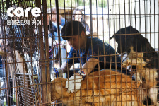 [애니멀구조대] 개농장, 그곳에는 아직도 수많은 ‘용순이’가 있다