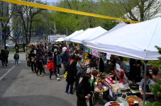 [윤기자의 콕 찍어주는 그곳] 희미한 옛 사랑의 그림자를 넘어…대학로