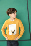“꼬마야, ‘작은 동물원’ 입자”