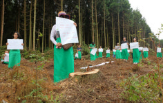 “제주 비자림로 지키자”… 삼나무가 된 시민들