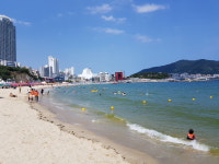 [윤기자의 콕 찍어주는 그곳] 우리나라 최초 해수욕장은?  - 부산 송도 해수욕장
